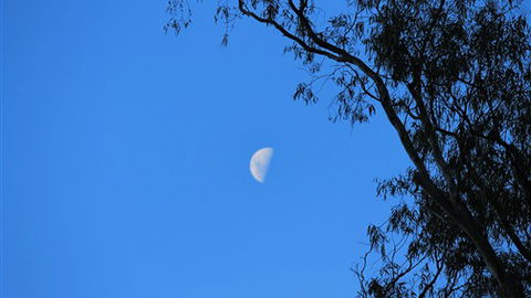 Gentle Annie Caravan And Camping Reserve - Foster Accommodation 4