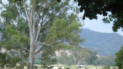Gentle Annie Caravan And Camping Reserve - Foster Accommodation 3