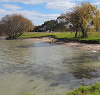 Kangaroo Lake Caravan Park - Foster Accommodation