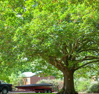 Lakes and Craters Holiday Park - Foster Accommodation