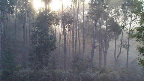 Carinya Park - Foster Accommodation 3