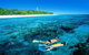 Lady Elliot Island Eco Resort - Day Trip - thumb 0