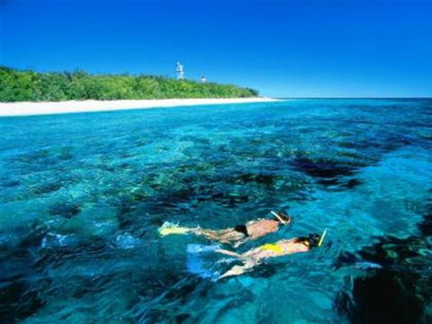 Lady Elliot Island Eco Resort - Day Trip - Foster Accommodation 0
