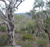 The Glen - Foster Accommodation