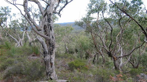 The Glen - Foster Accommodation 0