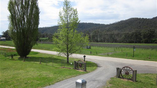 Cheshunt South VIC Foster Accommodation
