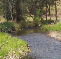 Murphy's Cabin - Foster Accommodation