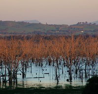 Salisbury - Foster Accommodation