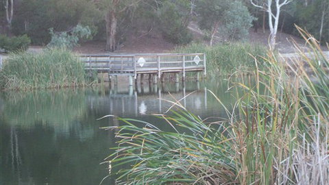 Mallard House Ballarat - Foster Accommodation 5