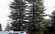 BIG4 Sydney Lakeside Holiday Park - thumb 3