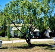 Blue Topaz Caravan Park  Camping Ground - Foster Accommodation