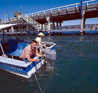 Comfort Inn Mandurah - Foster Accommodation
