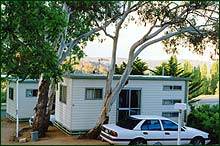 Cooma Snowy Mountains Tourist Park - Foster Accommodation 0