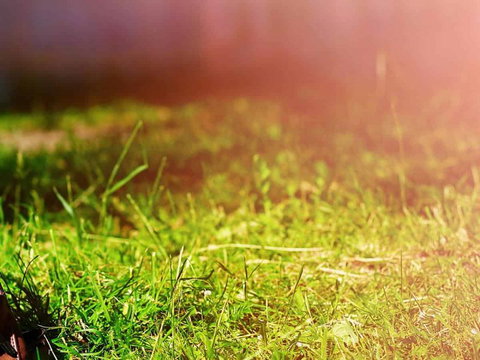 Ipswich Caravan Village - Foster Accommodation 1