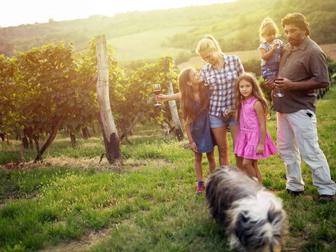Ipswich Caravan Village - Foster Accommodation 3
