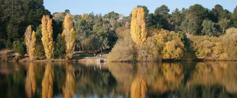 Daylesford Spa Accommodation - Foster Accommodation 4
