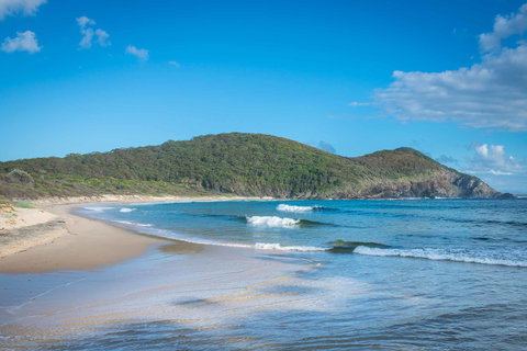 Pacific Palms Resort - Foster Accommodation 9