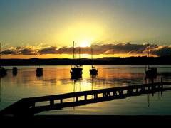 Paradise Palms Carey Bay - Foster Accommodation 4