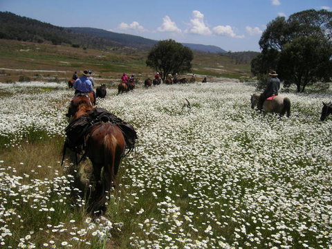 Reynella Kosciusko Rides Homestead - Foster Accommodation 7