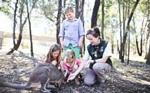 Billabong Camp, Taronga Western Plains Zoo, Dubbo - Foster Accommodation 5