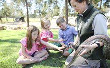 Billabong Camp, Taronga Western Plains Zoo, Dubbo - Foster Accommodation 4