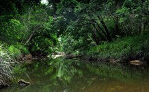 Aranyani Bison Adventure Tourist Park - Foster Accommodation 3