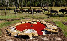 Aranyani Bison Adventure Tourist Park - Foster Accommodation 5