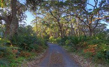 BIG4 South Durras Holiday Park - Foster Accommodation 4