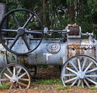 Dingo Tops campground - Foster Accommodation