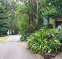 Tamborine Mountain Caravan  Camping - Foster Accommodation