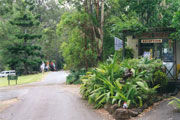 Tamborine Mountain Caravan & Camping - Foster Accommodation 0