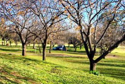 Wellington Caves Caravan Park - Foster Accommodation 0