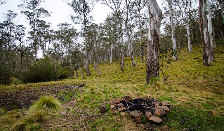 Tomalla NSW Foster Accommodation