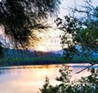 Tweed Coast Holiday Parks Hastings Point - Foster Accommodation