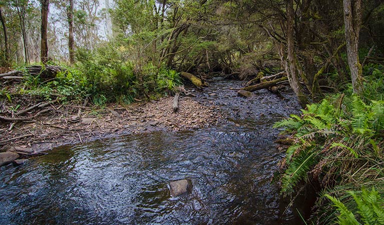 Moonan Brook NSW Foster Accommodation