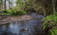 Horse Swamp Campground - thumb 0
