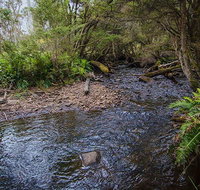Horse Swamp campground - Foster Accommodation