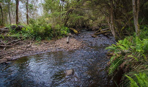 Horse Swamp Campground - Foster Accommodation 0