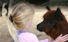 Kangaroo Valley Glenmack Park - Foster Accommodation 1
