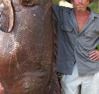 Michael's Clarence Valley Retreat - Foster Accommodation