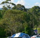 Milton Valley Holiday Park - Foster Accommodation