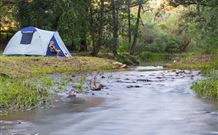 Nymboida NSW Foster Accommodation