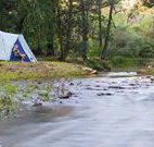 Nymboida Canoe Centre - Foster Accommodation