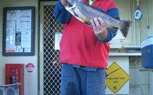 Rainbow Pines Tourist Caravan Park - Foster Accommodation 0