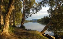 South West Rocks Tourist Park - South - Foster Accommodation 0