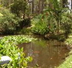 Tallowood Ridge B and B - Foster Accommodation
