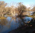 Warrawong on the Darling - Foster Accommodation