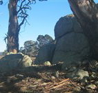Warreen Farmstay Rural Accommodation - Foster Accommodation