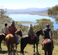 Reynella Homestead and Horseback Rides - Foster Accommodation