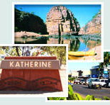 Red Gum Tourist Park - Foster Accommodation